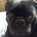 Ian Lively - @IanLively1 - Twitter