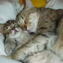 Bob Copeland - @Bob_Copeland - Twitter