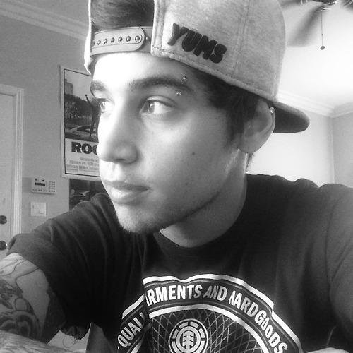 The Janoskians are my everything Lahme