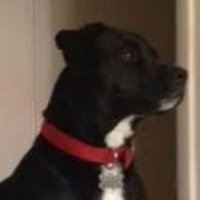me (@__maryellen) 's Twitter Profile Photo me (@__maryellen) 's Twitter Profile Photo