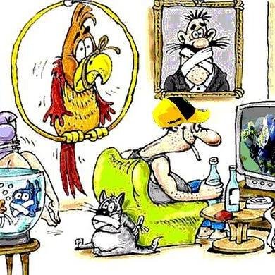 UPomolo's profile picture. 