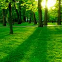 Allen Archer - @AllenArcher7 - Twitter