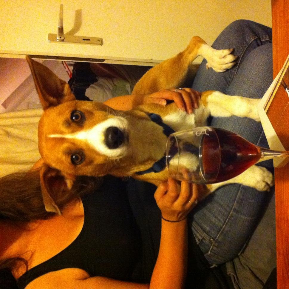 Nienah12's profile picture. utopia & ideas; mechanism design & auctions; behaviour economics & riddles & philosophy of science