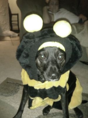 girls123133's profile picture. 