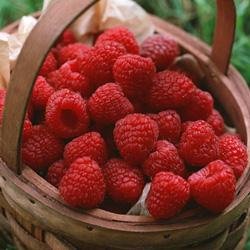 ikoma1ro's profile picture. くだらないかもしれませんが、呟きます。リフォロー100％！よろしくお願いします★無言フォロー大歓迎です♪