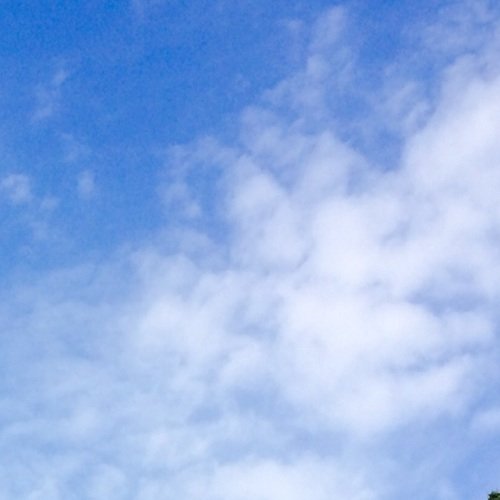 frozendeerest's profile picture. ルハンの話とミンソクの話