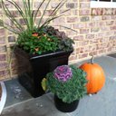 Kaye Davis - @KayeAD - Twitter