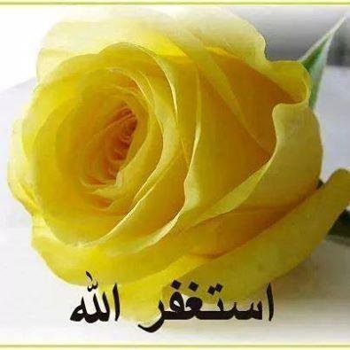 نسأل الله ان يصلح قلوبنا ويصلح اعمالنا ويختم لنا بخاتمة السعاده وهو راض عنا اللهم آمييييييييين