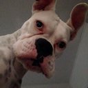 Barb Robbins - @BarbRobbins1 - Twitter