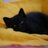 k_oami's profile image
