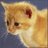 ghtfun76's profile image
