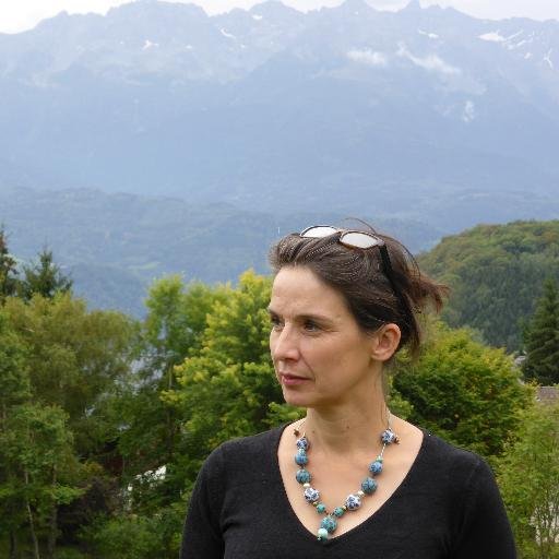 ex chercheur en sciences des matériaux, aujourd'hui enseignante en école primaire passionnée de médiation scientifique et d'ingéniérie pédagogique.
