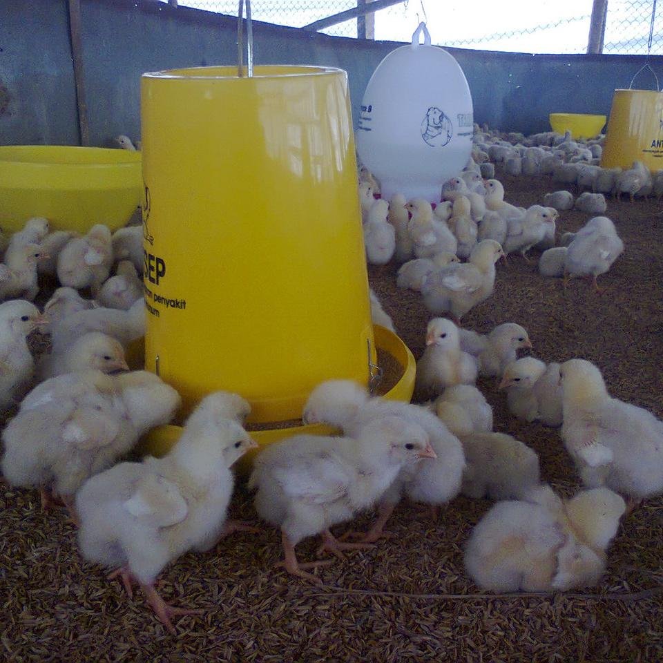 aquariusthedark's profile picture. 