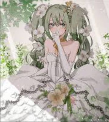 レアチーズ♪発情期。私は泥棒さんのプロフィール画像