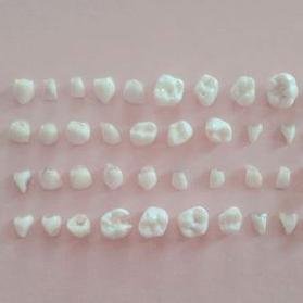 TonyBurg57's profile picture. Amateur de vinaigre et de miel