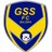 TheGSSFC's profile image