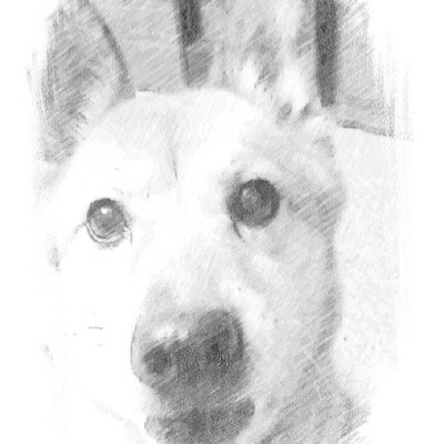 puri_megu's profile picture. 