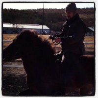 Andrés Már Logason (@andres_logason) 's Twitter Profile