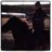 Andres_Logason's profile image