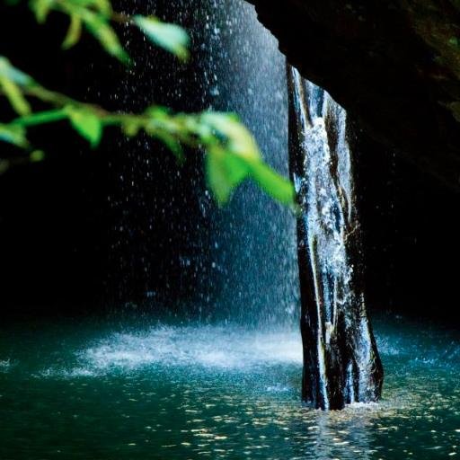 ResonanceShort's profile picture. https://t.co/VeNYHErfH1
tgsmsbox1
id admin