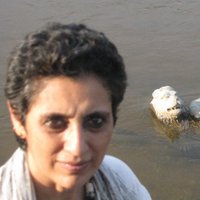 Kusum Dhar Prabhu (@jungspeaks) 's Twitter Profile