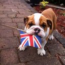 Jack Rawlins - @JackRawlins4 - Twitter