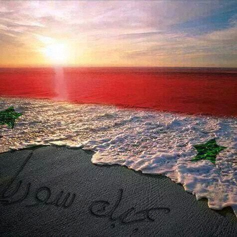 SalahDffh's profile picture. 