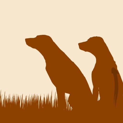 Caladesi Rhodesian Ridgeback Zucht | Impressum: https://t.co/7r3hMUOiv1 | Datenschutz: https://t.co/67nZTLCEu1