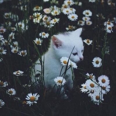 MeMejambi17's profile picture. 