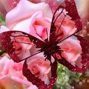 Deborah singer - @DebySinger - Twitter