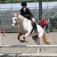 Shaina Nielson (@shainanielson) 's Twitter Profile