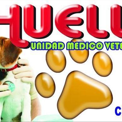 consulta externa y domicilios, Ecografia y Rayos X , cirugias, guarderia y hospitalizacion, laboratorio clinico, tel: 3154502046. Mzn 10 Casa 6 Villaflor2.