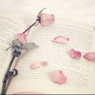 سأبقى انثى راقيه تعكس تربيتها للأبد،،♡♥