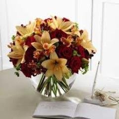 stemsbystacy's profile picture. Stems by Stacy is your full service florist in High Ridge, MO.  We have flowers, gifts and wine for every occasion.