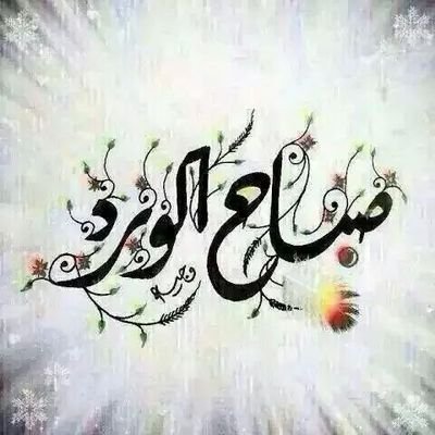 mukhtaransari31's profile picture. 