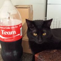 Zak (@dubzx) 's Twitter Profile