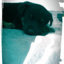 Samuel Carbonell - @famillcarbonell - Twitter