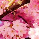 Cole Thatcher - @MechanicalPaint - Twitter