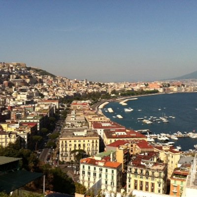 MCCHonors's profile picture. 