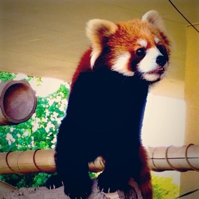 ジャムまみれ子 今日はanna Suiクリスマスコフレ15を入手 あーもうほんとかわいい スキンケアのトライアルもお試しに買ってみたけど なかなかよい 肌が潤っている T Co H2a4zryyq2 ジャムまみれ子 今日はanna Suiクリスマスコフレ15を入手 あーもうほんとかわいい スキンケアのトライアルもお試しに買ってみたけど なかなかよい 肌が潤っている T Co H2a4zryyq2