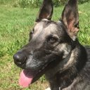 amanda rowley - @dutchie106 - Twitter