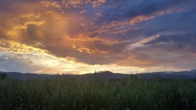 Uribista, Anticomunista y amante del trabajo honesto..... todo por mi pais
