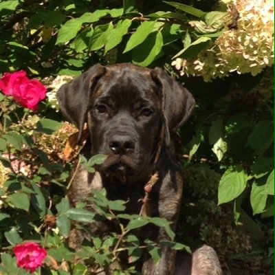 VicHuth's profile picture. 