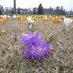 BloodTiWkoiivjq's profile picture. ツイッターで出稼ぐために登録してます　興味ある方は、よろしくお願いします。