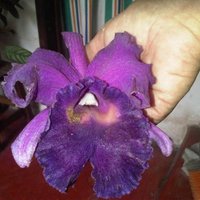 Vladimir Monsalve (@monsalvev) 's Twitter Profile