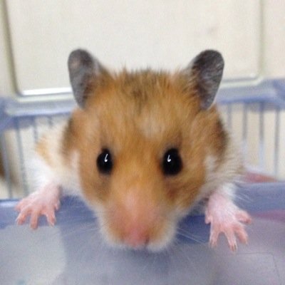 172\59\H6〜^o^ 
アイチイア