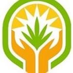 thehealingcanna's profile picture. The most consistent, high-quality medical marijuana the springs has to offer | Serving Colorado mmj cardholders | Hemp-derived CBD products available (18+)
