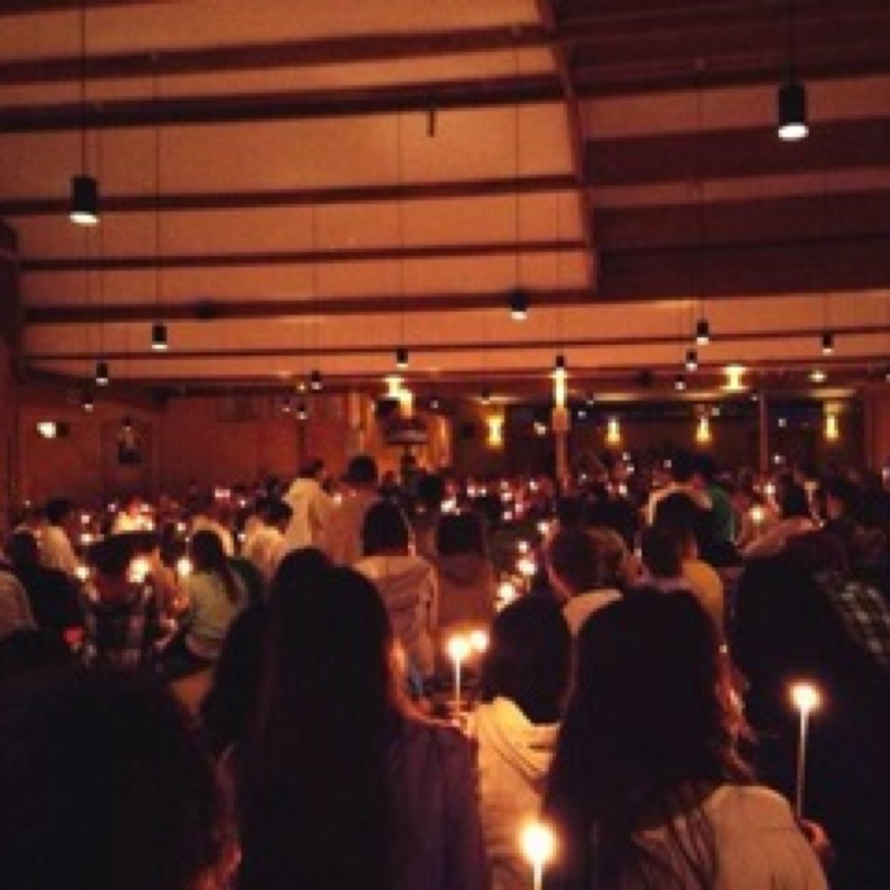 BlancaAnton1's profile picture. 