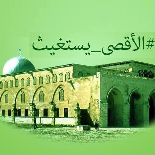 محامى بالنقض والاداريه والدستوريه العليا