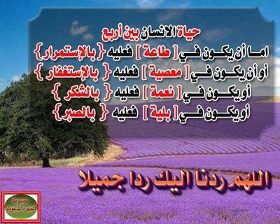 aml_176's profile picture. 